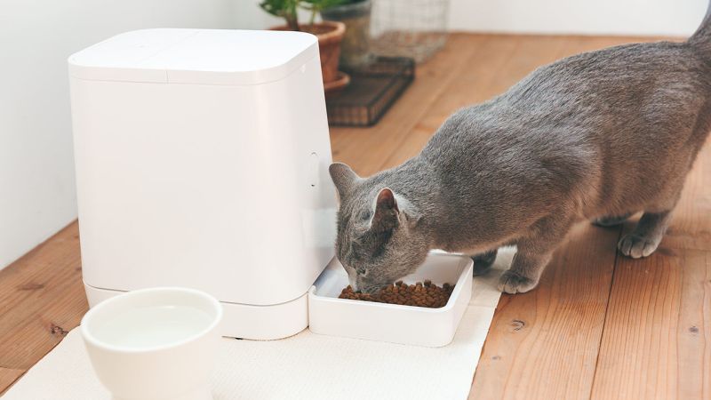 Pet Feeder