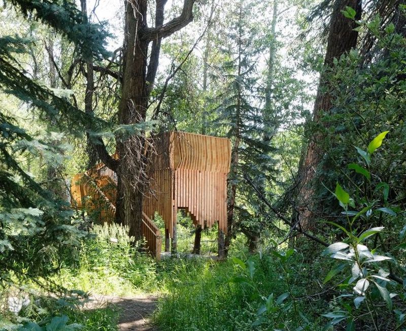 ACES Treehouse Elevated Platform gives you an Insight into the Wildlife 