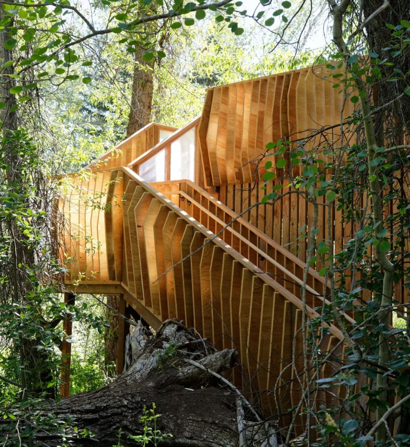 ACES Treehouse Elevated Platform gives you an Insight into the Wildlife 