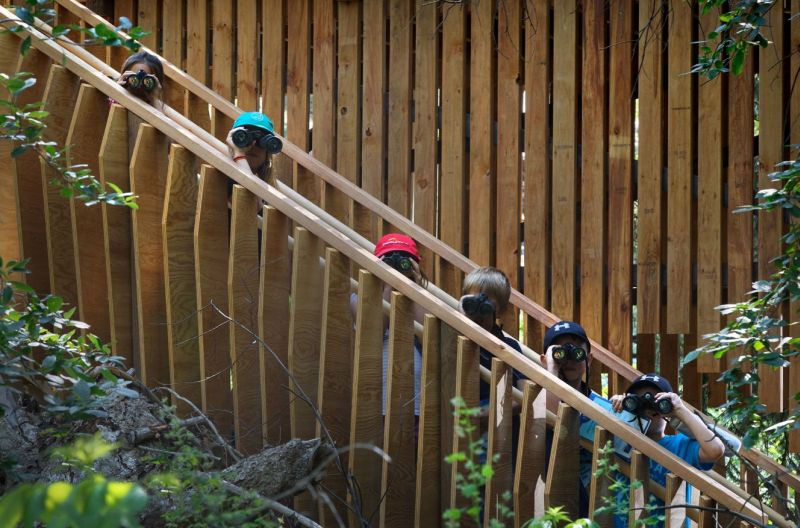 ACES Treehouse Elevated Platform gives you an Insight into the Wildlife 