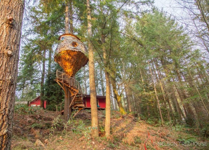 Beehive Treehouse by Pete Nelson is a whimsical masterpiece!