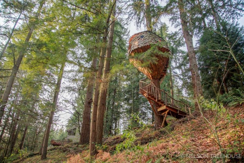  Beehive Treehouse by Pete Nelson is a whimsical masterpiece!