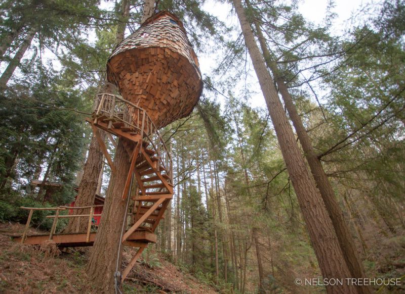 Beehive Treehouse by Pete Nelson is a whimsical masterpiece!