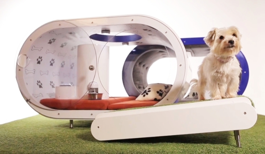 Samsung Dream Doghouse