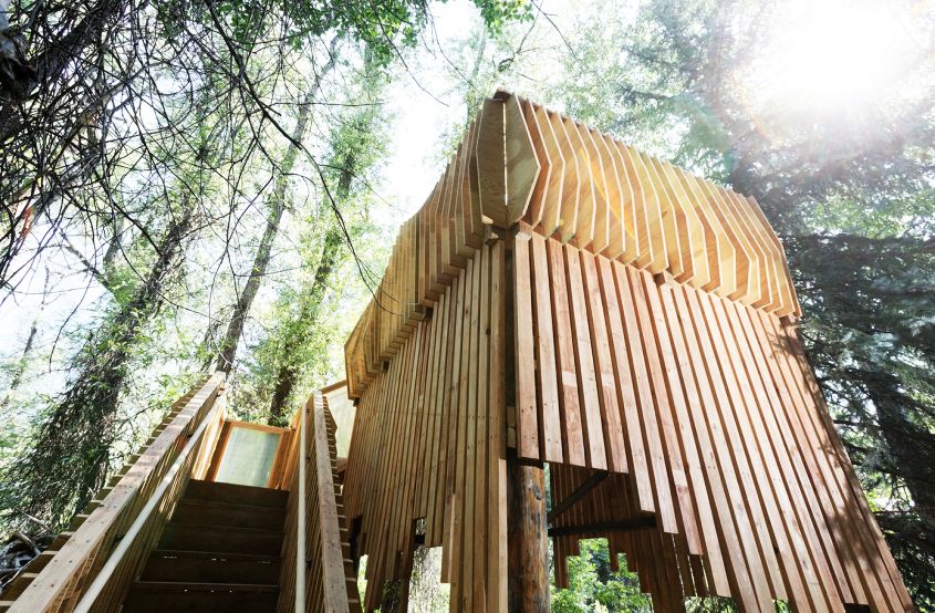ACES Treehouse Elevated Platform gives you an Insight into the Wildlife 