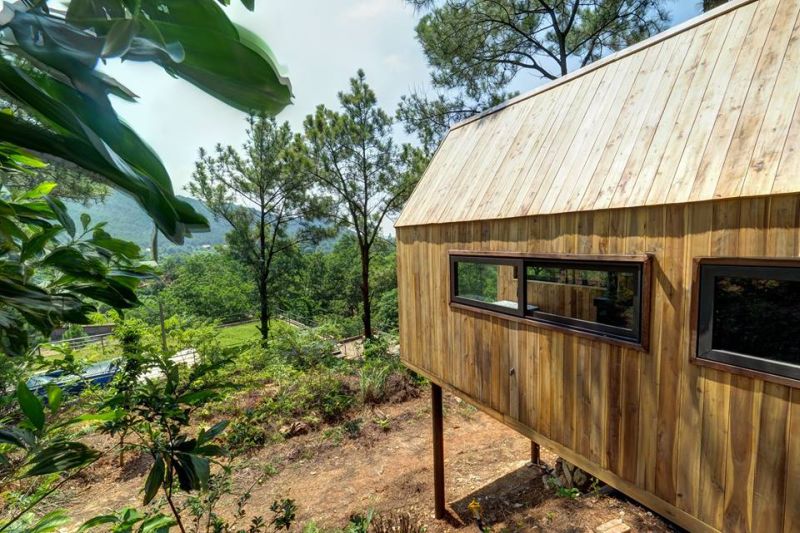 Forest House with Glass Façade is an Ideal Way to Return to the Nature