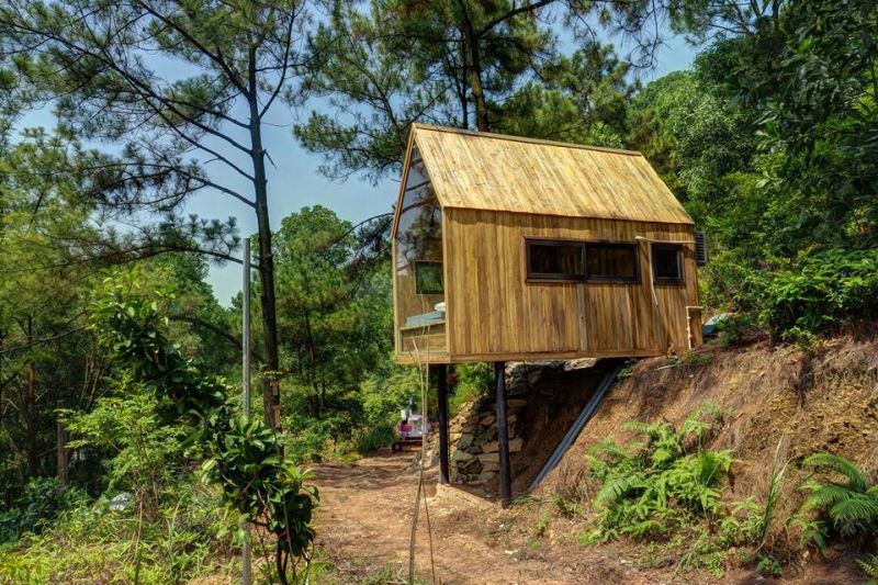  Forest House with Glass Façade is an Ideal Way to Return to the Nature