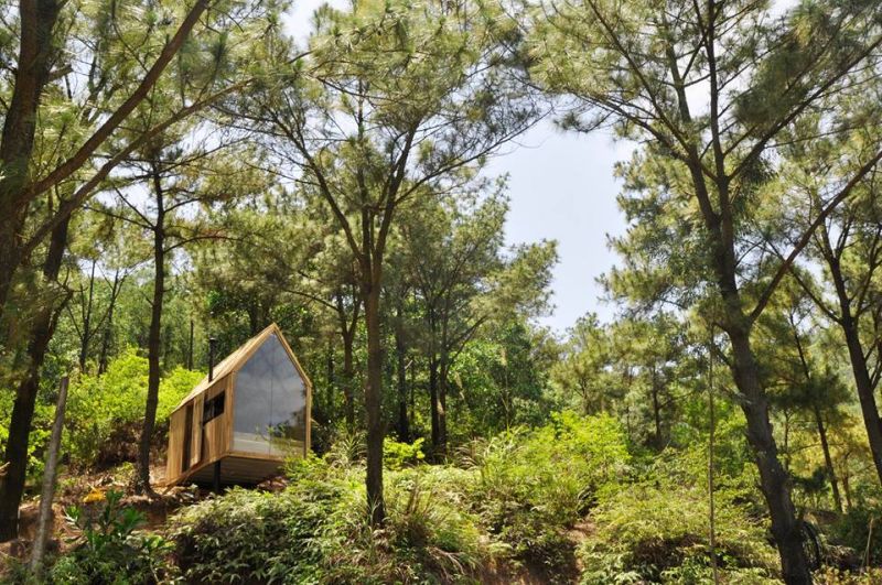 Forest House with Glass Façade is an Ideal Way to Return to the Nature