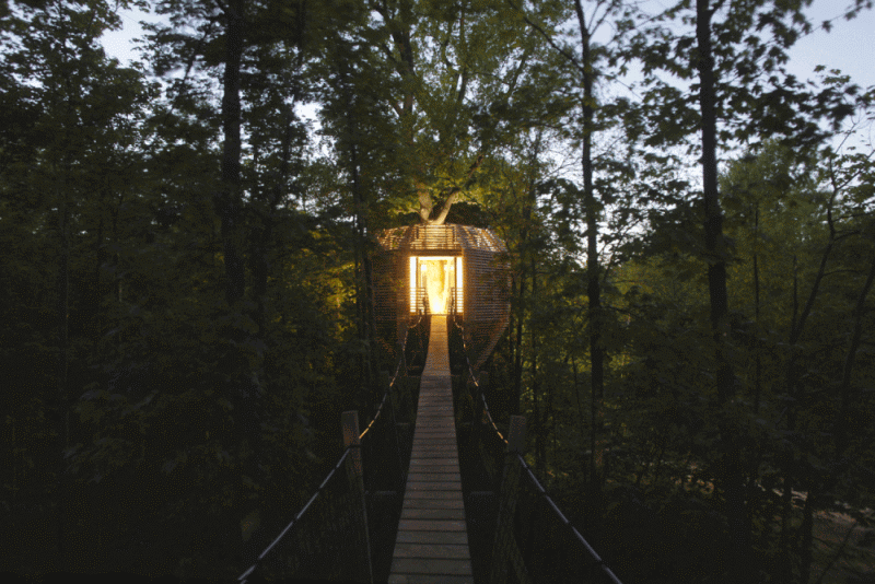 Geometric Treehouse Inspired by Bird’s Nest takes You Closer to Nature!