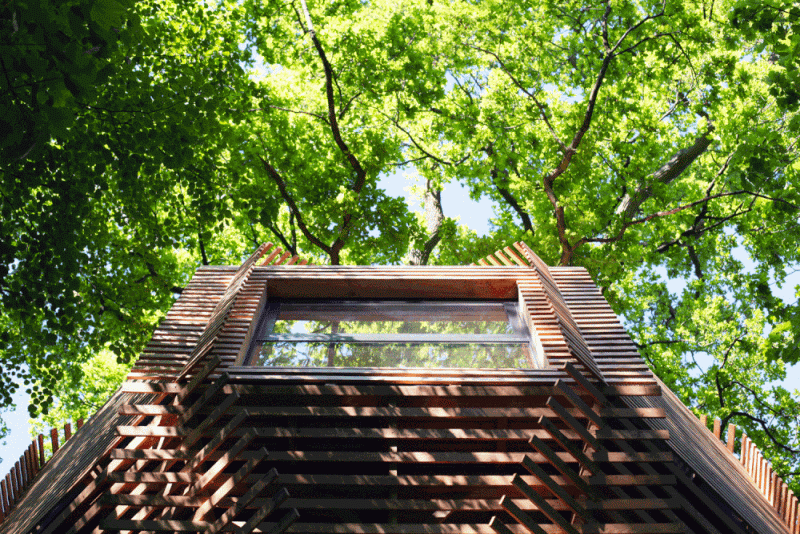Geometric Treehouse Inspired by Bird’s Nest takes You Closer to Nature!