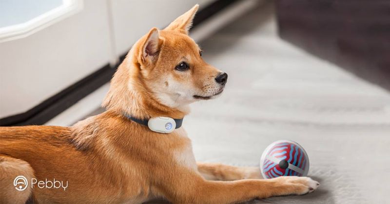 Best Pet Care Gadgets Spotted at CES 2018