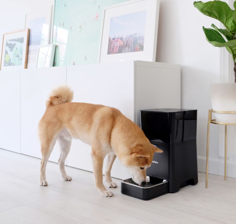 Best Pet Care Gadgets Spotted at CES 2018