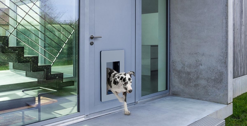 petWALK a safe pet door