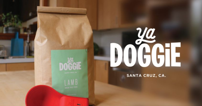 This Smart Scoop for Dog Food Curbs Your Pooch Eating Habits