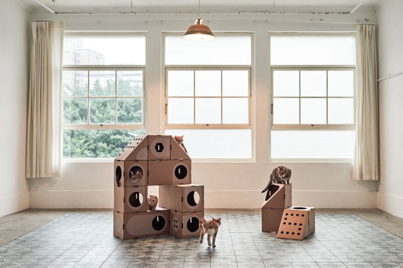 Modular Cat house Cat furniture 