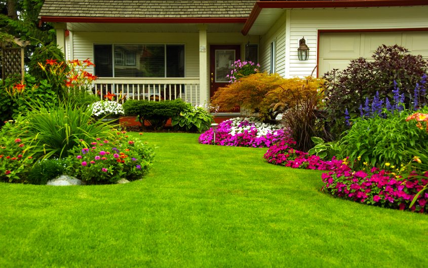 home landscaping ideas