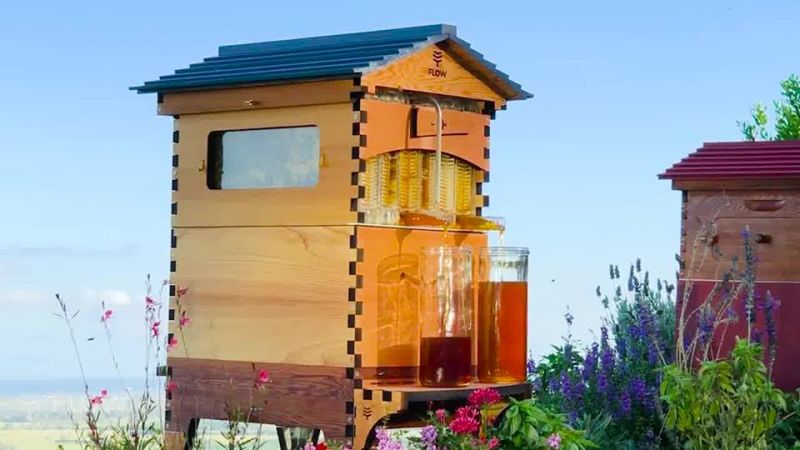 Flow Hive 2 Artificial beehive Extracts Honey Without Disturbing Bees 