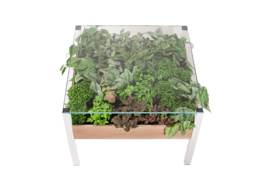 The Living coffee table