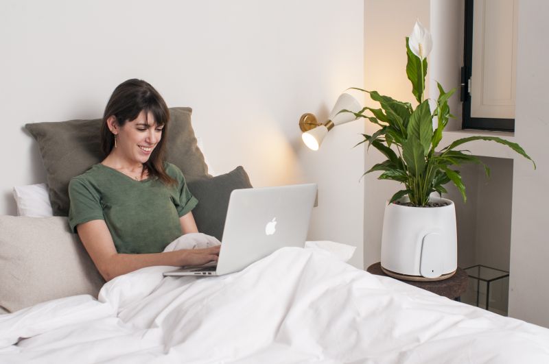 Clairy’s Natede Smart Air Purifier Uses Power of Nature to Clean Air 