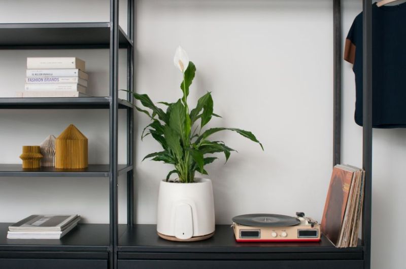 Clairy’s Natede Smart Air Purifier Uses Power of Nature to Clean Air 