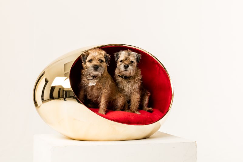 One-Off Doghouses by Famous Designers and Architects at BowWow Haus London