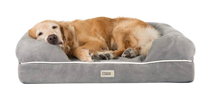 Friends Forever Orthopedic Dog Bed Is Durable And Comfortable