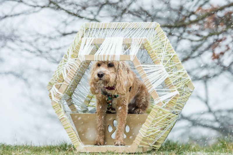 One-Off Doghouses by Famous Designers and Architects at BowWow Haus London