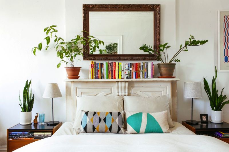 Houseplants in bedroom