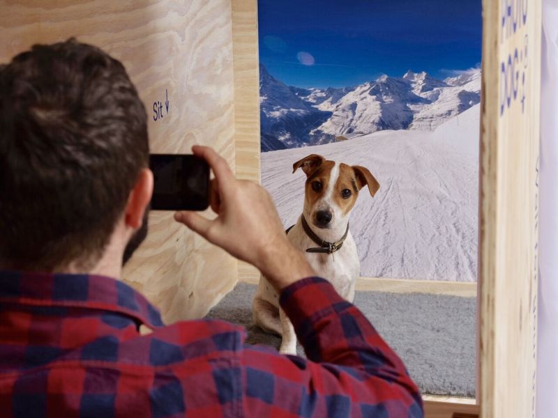 One-Off Doghouses by Famous Designers and Architects at BowWow Haus London