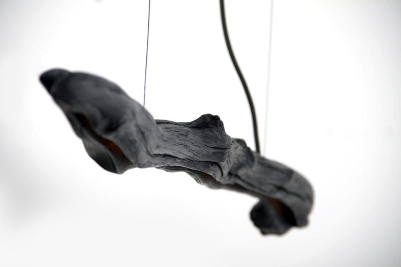 Burnt Tree Branch Pendant Lamp from Wdstck 