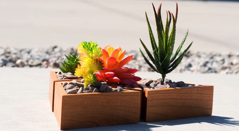 Easy DIY: Make A Modular Succulent Planter with Limited Tools 