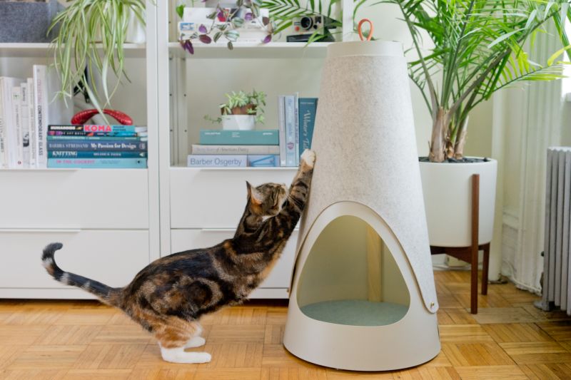 The Cone cat bed cum scratching post by WISKI