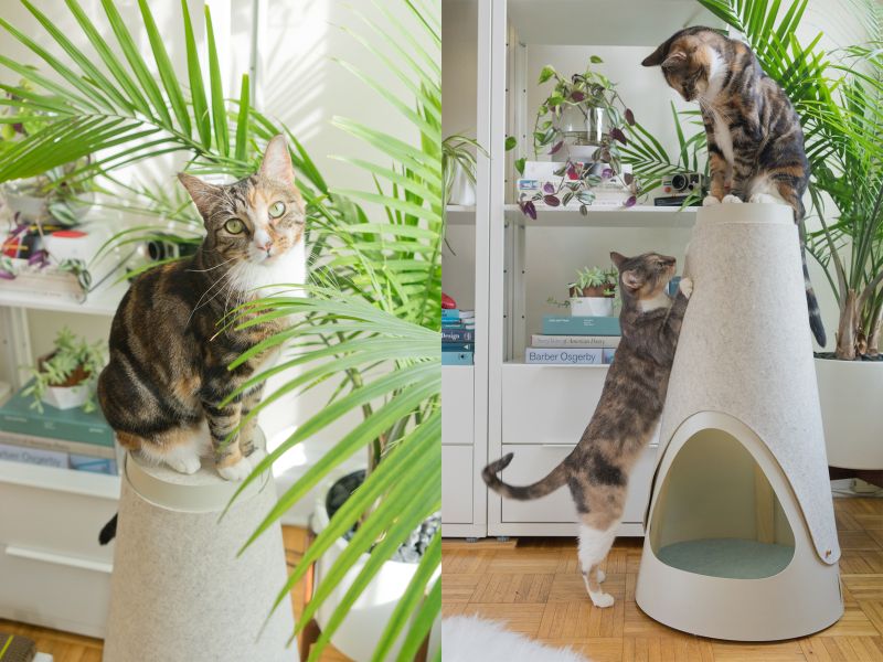 The Cone cat bed cum scratching post by WISKI