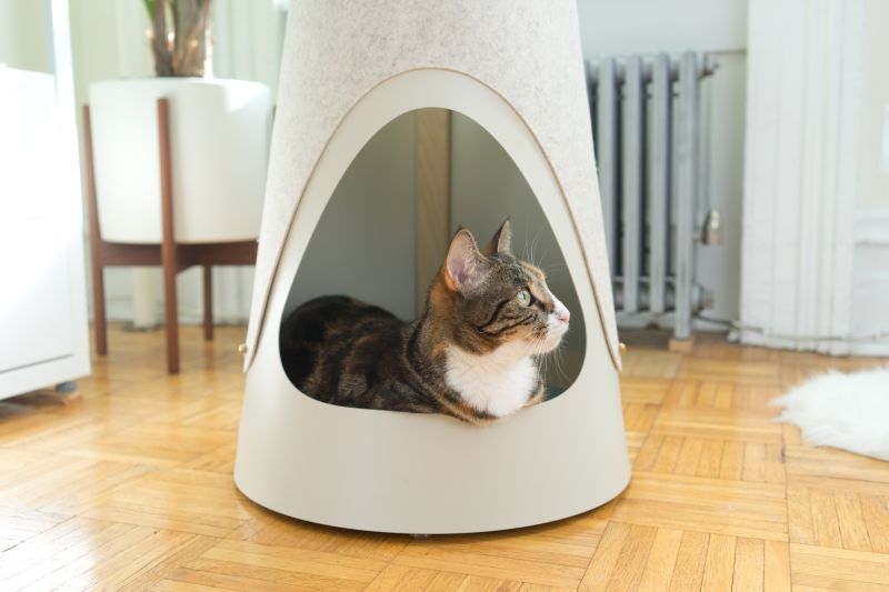 The Cone cat bed cum scratching post by WISKI