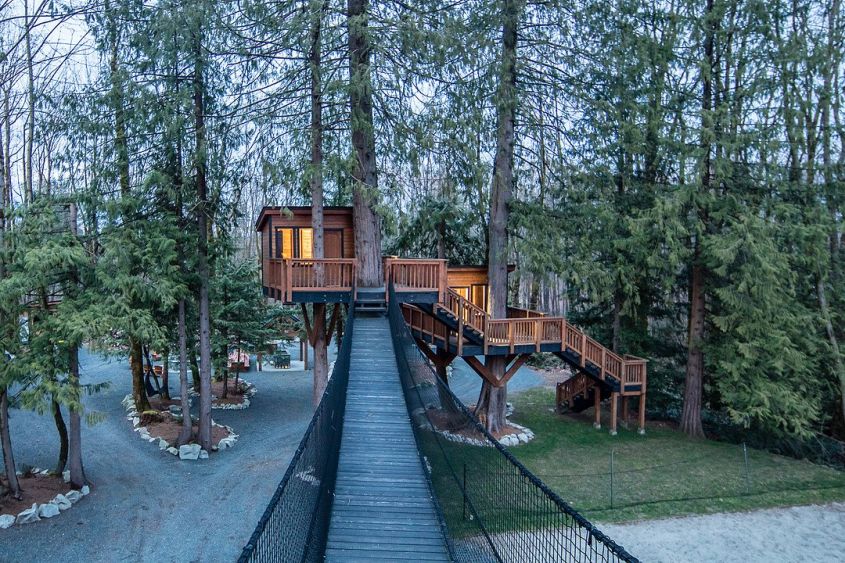 This Treehouse comes with a $1,900,000 Family Home in Courtney, BC