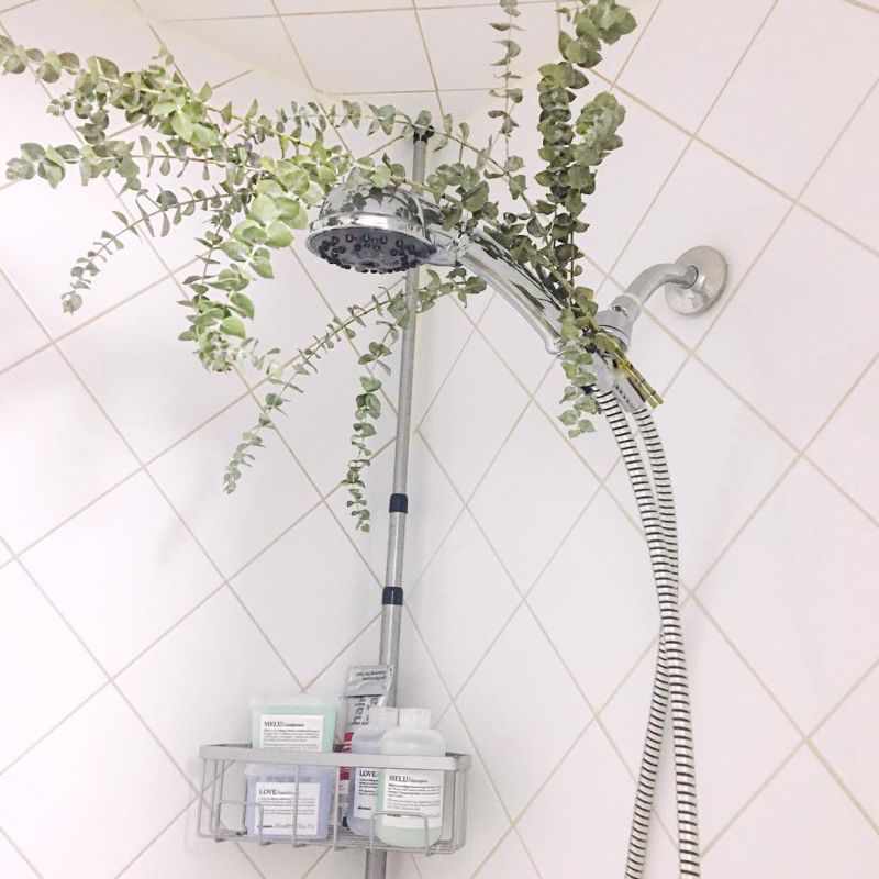 What is Eucalyptus Shower and Why it is a Hot Topic These Days