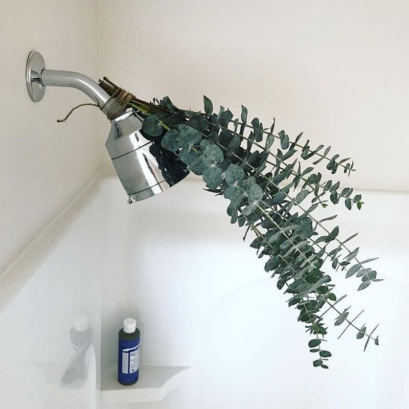 What is Eucalyptus Shower and Why it is a Hot Topic These Days