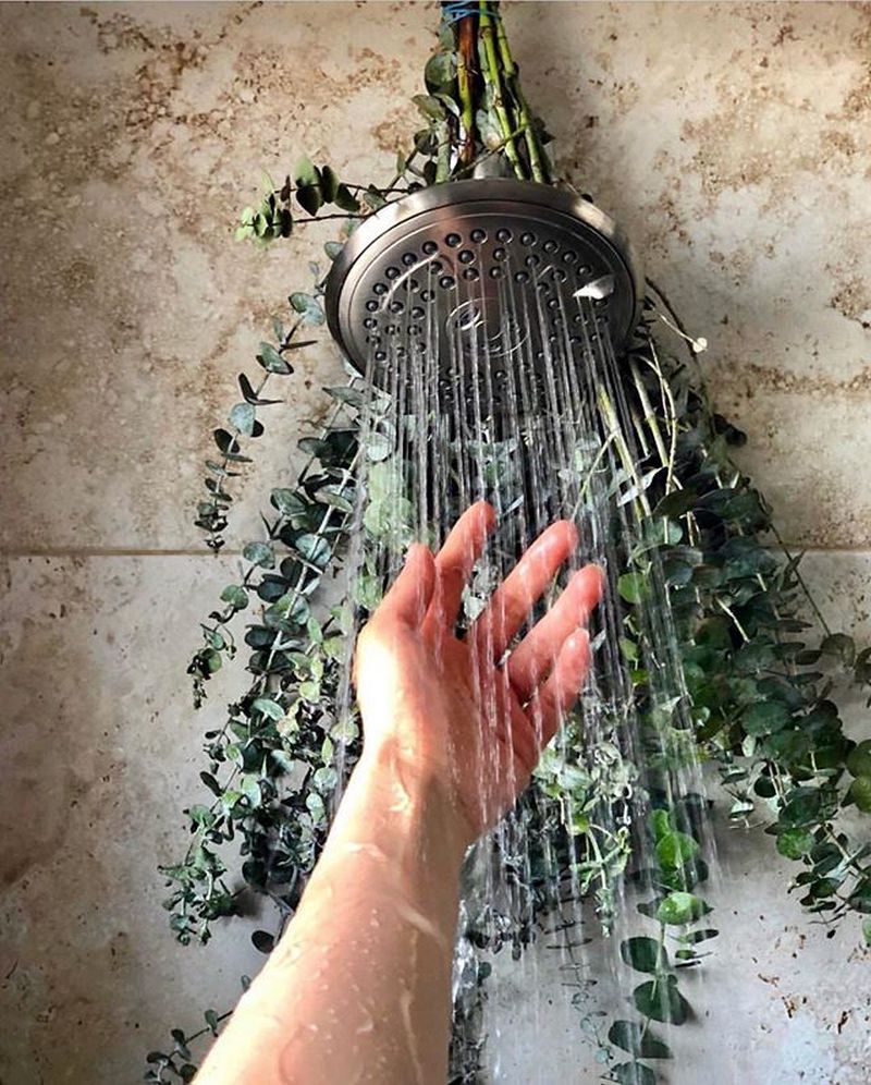 What is Eucalyptus Shower and Why it is a Hot Topic These Days