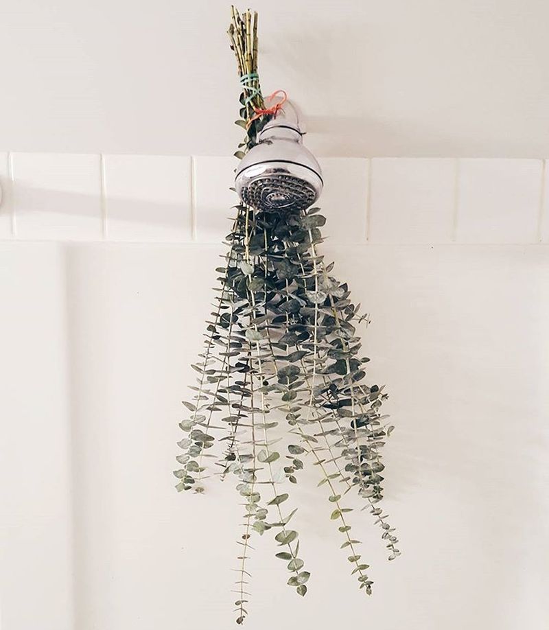 What is Eucalyptus Shower and Why it is a Hot Topic These Days