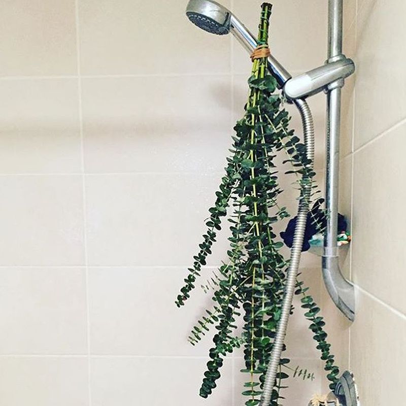 What is Eucalyptus Shower and Why it is a Hot Topic These Days