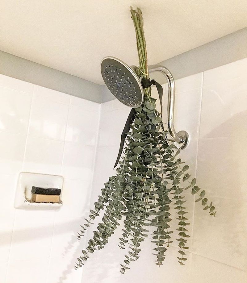 What is Eucalyptus Shower and Why it is a Hot Topic These Days