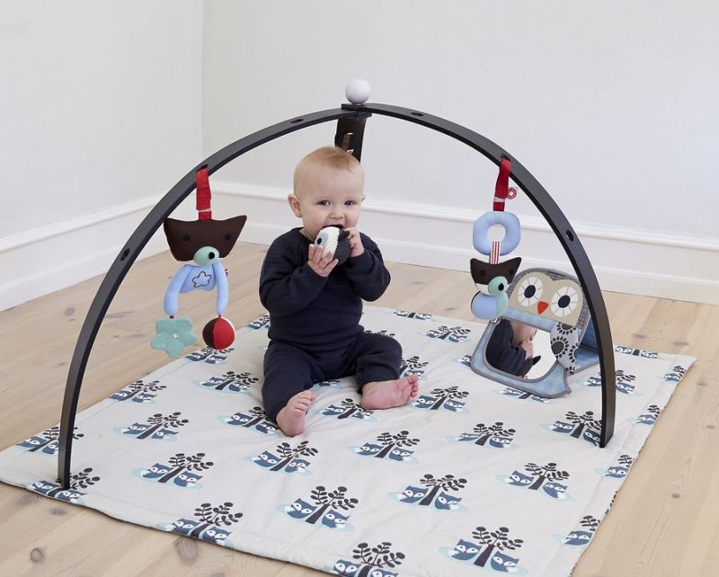 BabySpyder Baby Gym from Franck & Fischer