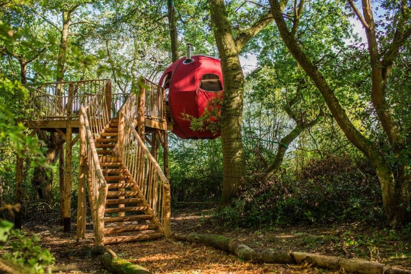 Goji Treehouse Rental in UK is Ideal for Couples