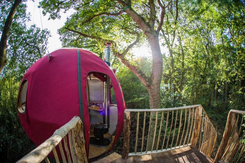 Goji Treehouse Rental in UK is Ideal for Couples