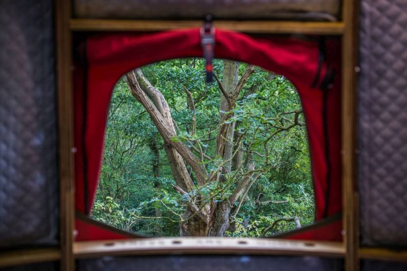 Goji Treehouse Rental in UK is Ideal for Couples