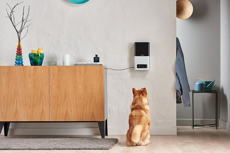 Petcube Bites treats dispenser