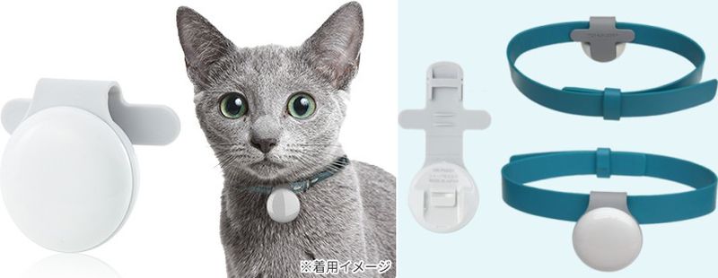 Sharp Corporation HN - PC001 Smart Cat Toilet 