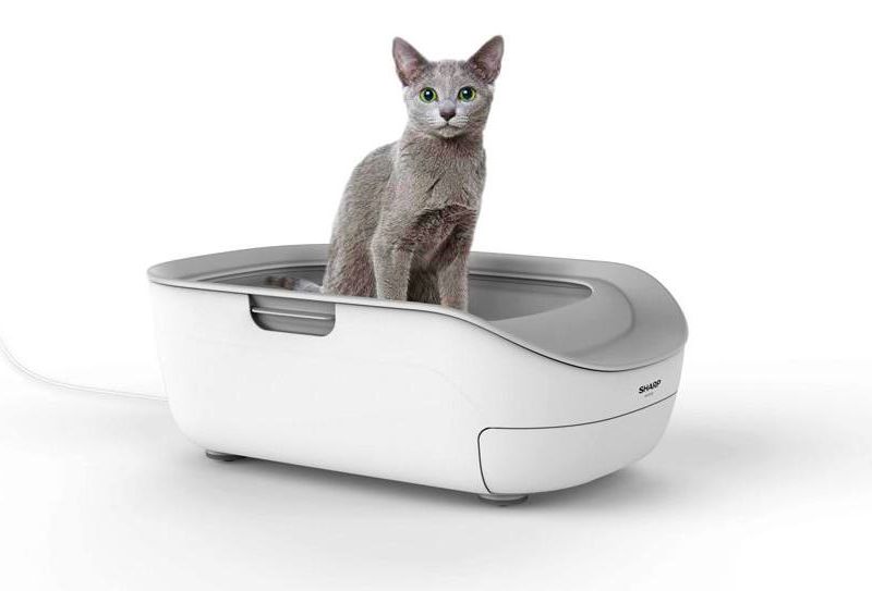 Sharp smart cat litter box pet monitor