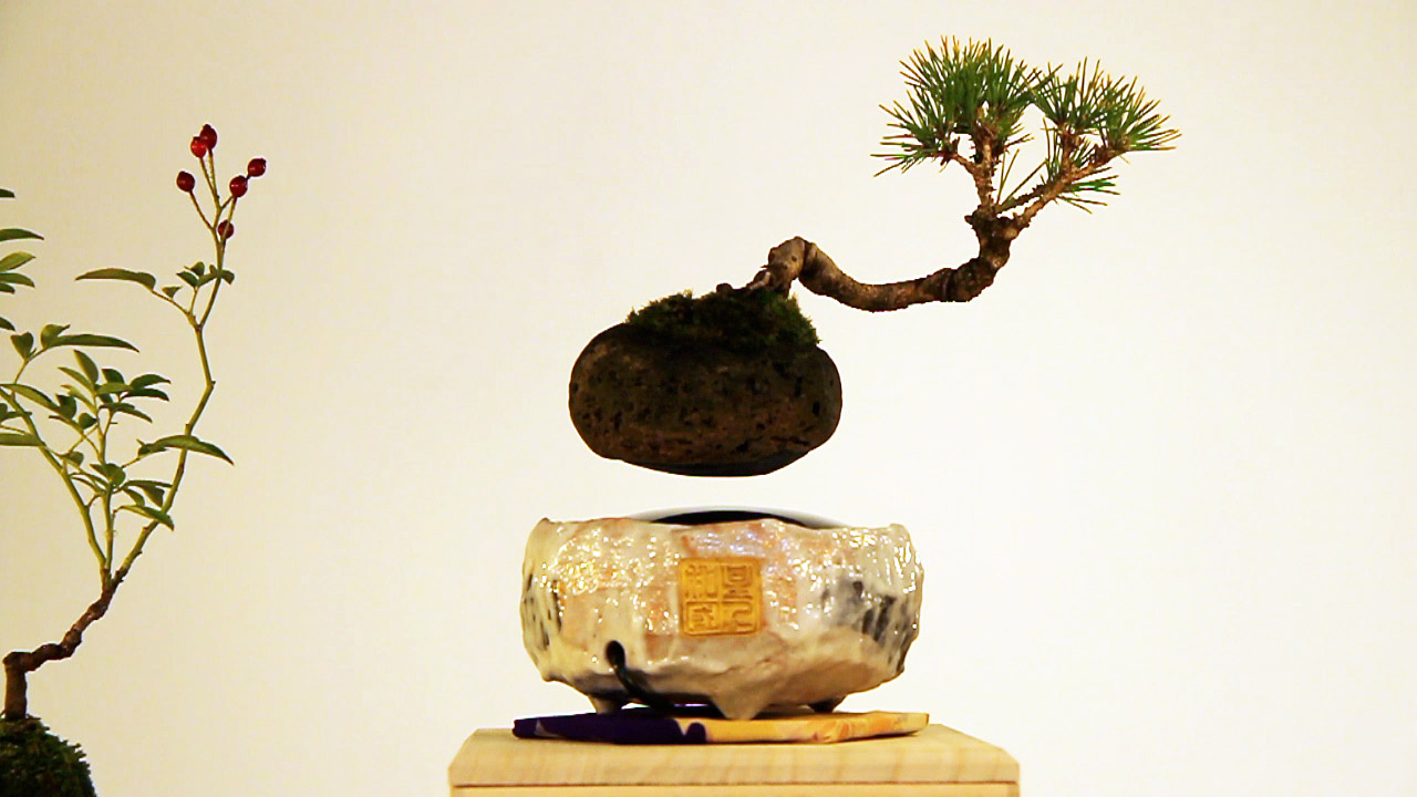 Hoshinchu Air Bonsai levitating planter from ARITA Series