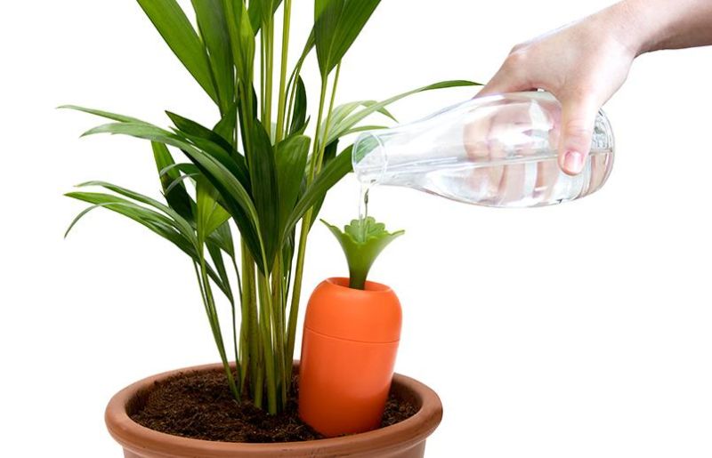 Peleg Design’s Carrot-Shaped Self-Watering Container